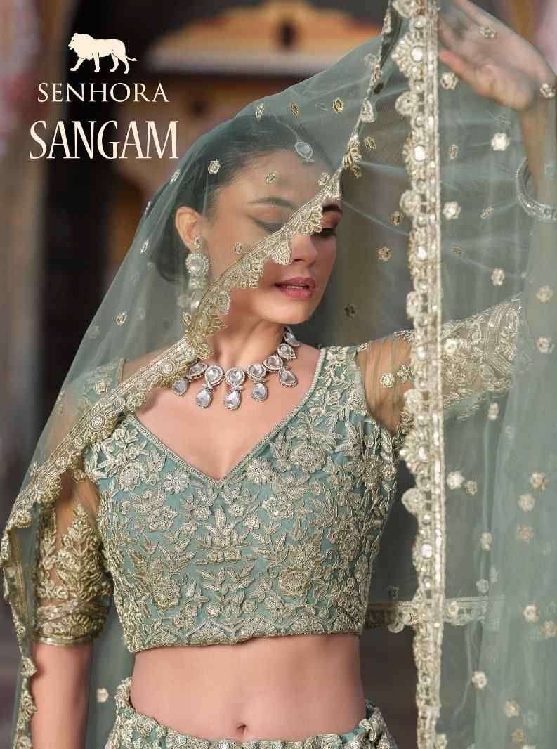 Sangam By Senhora Dresses 4001 To 4006 Series Indian Traditional Wear Collection Beautiful Stylish Fancy Colorful Party Wear & Occasional Wear Pure Net Sarees At Wholesale Price