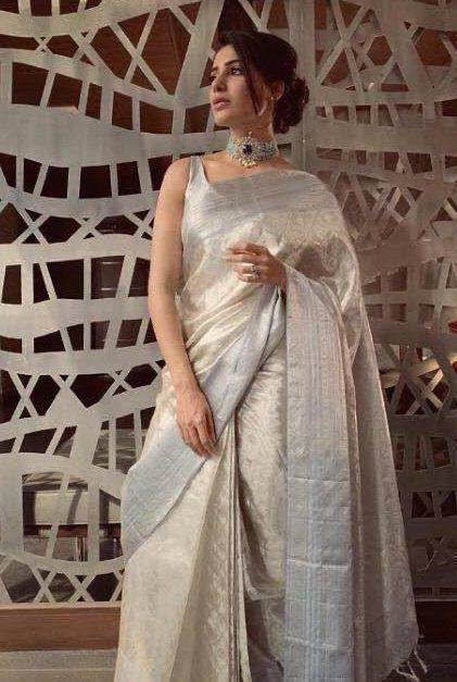 Sb-815 By Fashid Wholesale Indian Traditional Wear Collection Beautiful Stylish Fancy Colorful Party Wear & Occasional Wear Tissue Zari Silk Sarees At Wholesale Price