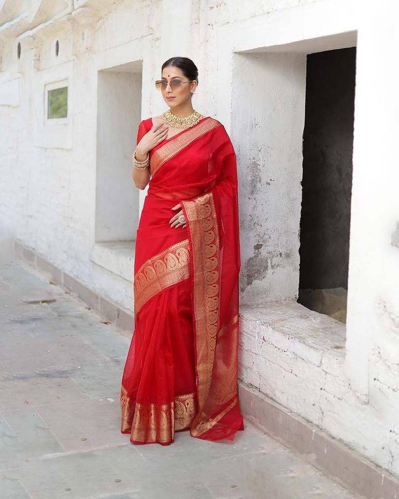 Lc-591 By Fashid Wholesale 01 To 09 Series Indian Traditional Wear Collection Beautiful Stylish Fancy Colorful Party Wear & Occasional Wear Pure Organza Sarees At Wholesale Price