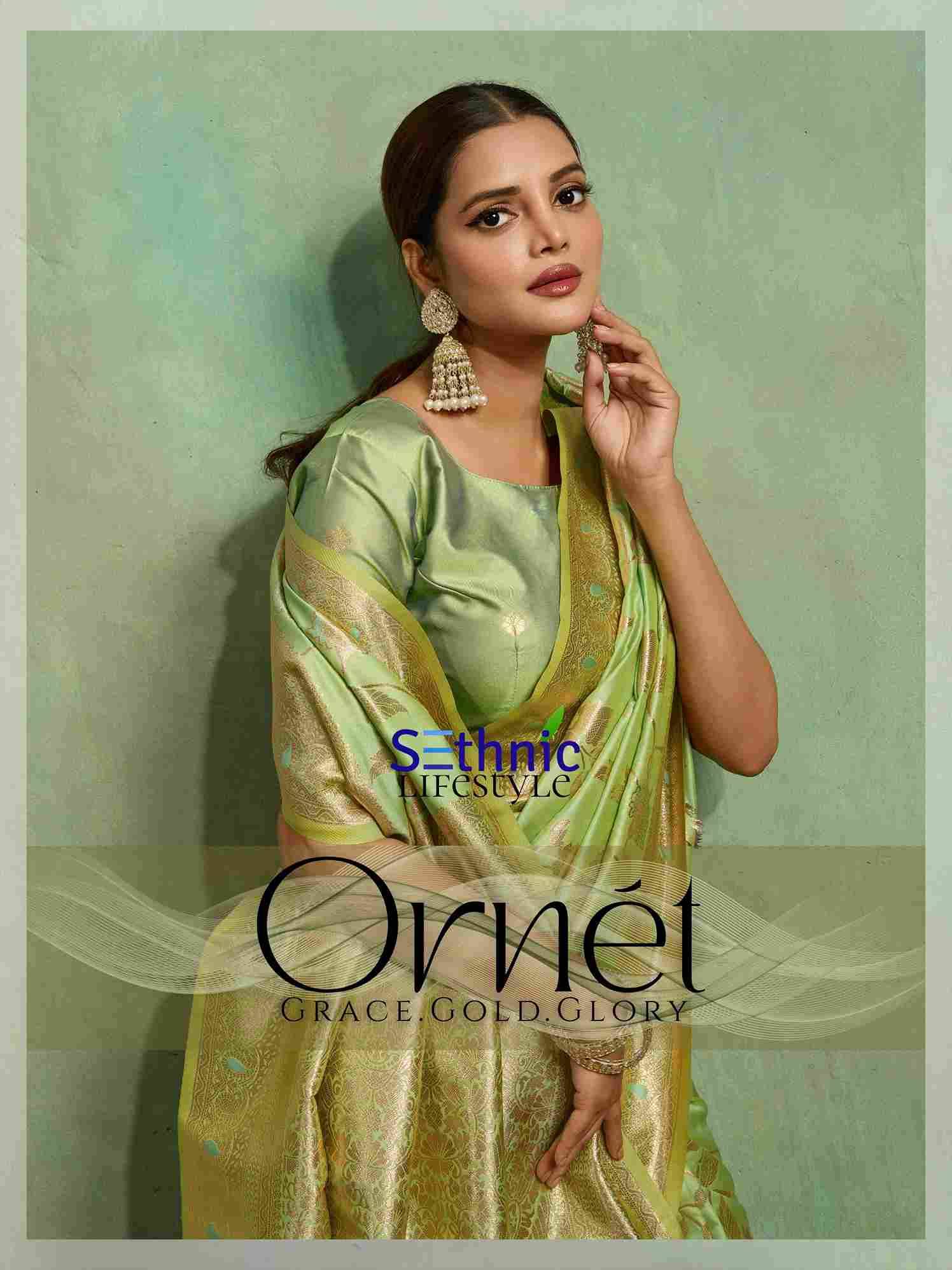 Ornet By Sethnic 101001 To 101010 Series Indian Traditional Wear Collection Beautiful Stylish Fancy Colorful Party Wear & Occasional Wear Banarasi Silk Sarees At Wholesale Price