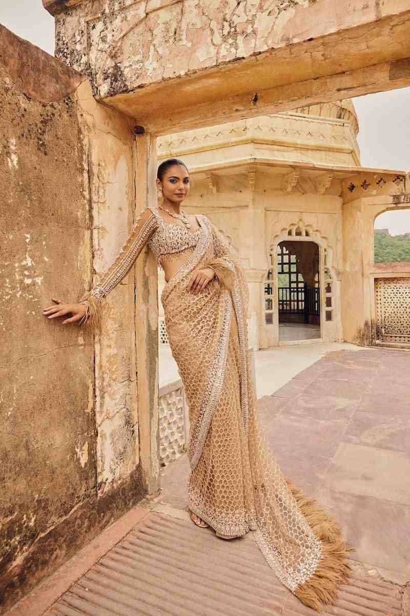 Vt-3466 By Fashid Wholesale Indian Traditional Wear Collection Beautiful Stylish Fancy Colorful Party Wear & Occasional Wear Butterfly Net Sarees At Wholesale Price