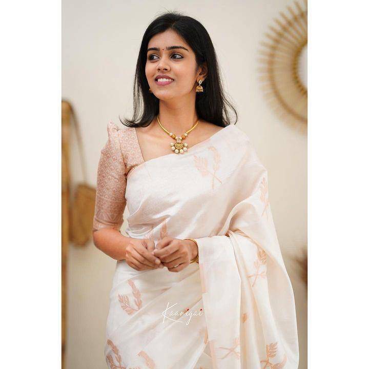 Lc-559 By Fashid Wholesale Indian Traditional Wear Collection Beautiful Stylish Fancy Colorful Party Wear & Occasional Wear Lichi Silk Sarees At Wholesale Price