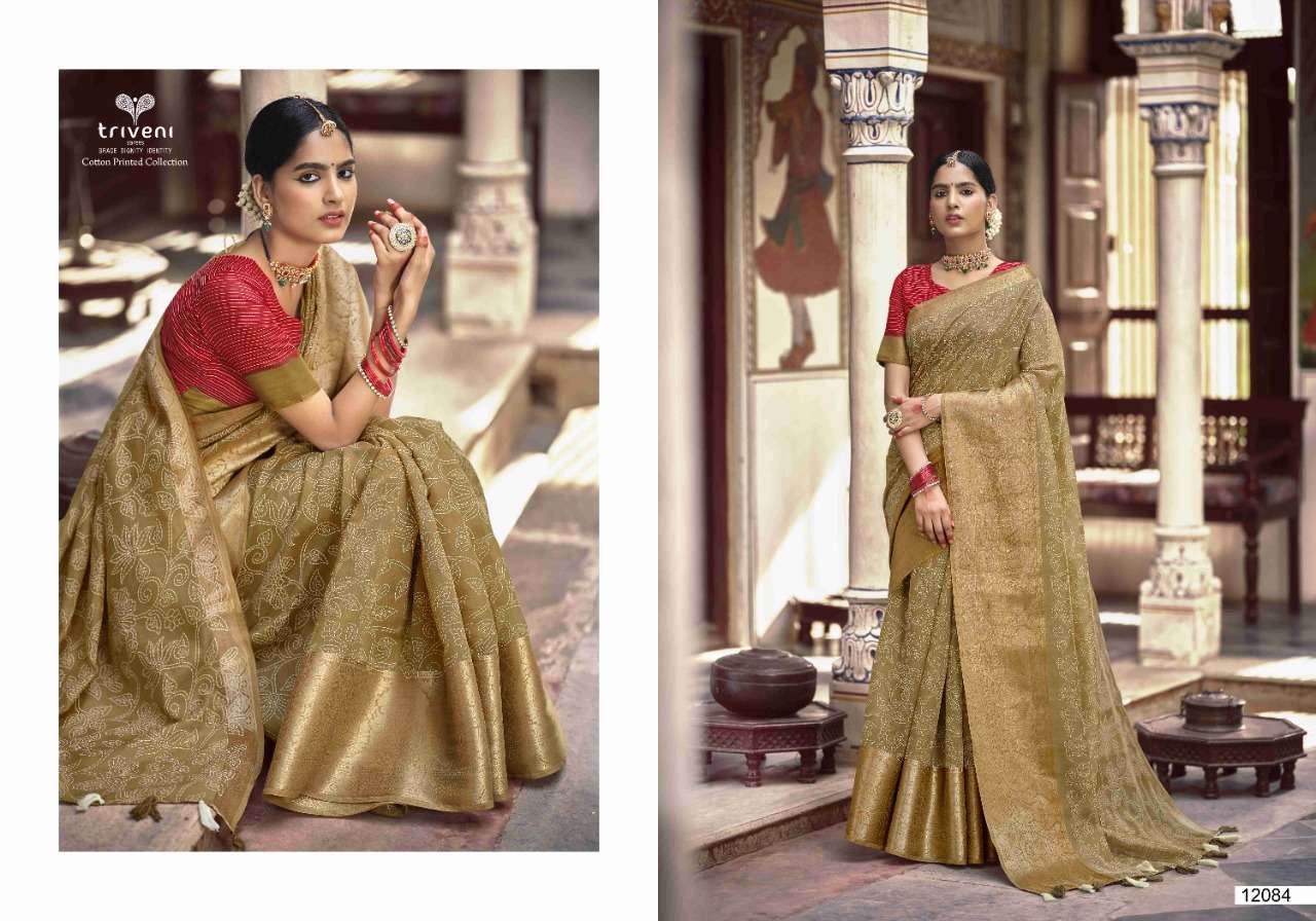 RANGRITI BY TRIVENI 12081 TO 12088 SERIES INDIAN TRADITIONAL WEAR COLLECTION BEAUTIFUL STYLISH FANCY COLORFUL PARTY WEAR & OCCASIONAL WEAR LINEN COTTON SAREES AT WHOLESALE PRICE