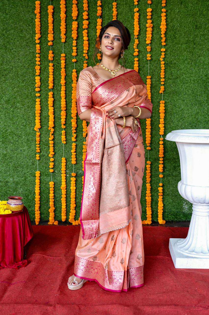 DEVYANI BY FASHID WHOLESALE 01 TO 02 SERIES INDIAN TRADITIONAL WEAR COLLECTION BEAUTIFUL STYLISH FANCY COLORFUL PARTY WEAR & OCCASIONAL WEAR BANARASI SILK SAREES AT WHOLESALE PRICE