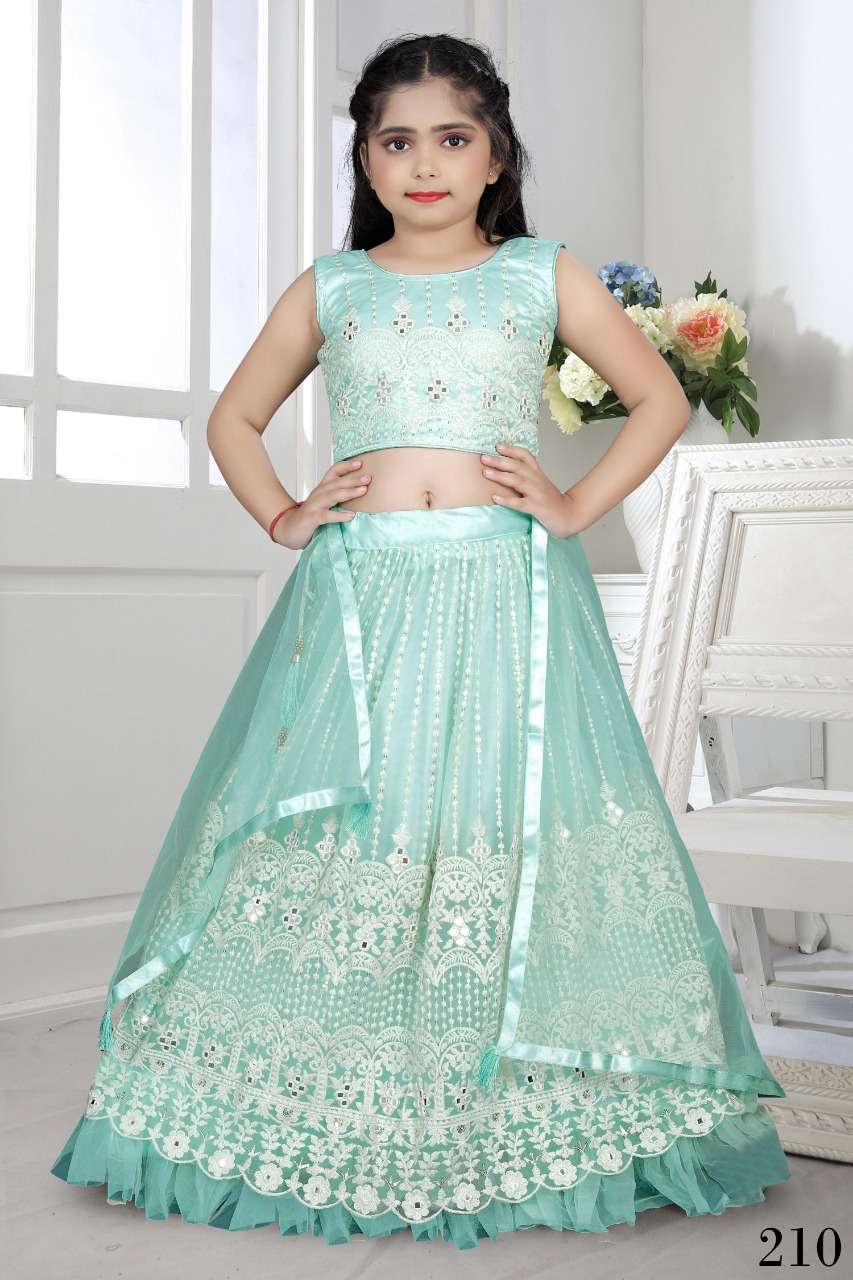 Aaradhna Vol-25 By Fashid Wholesale 207 To 210 Series Beautiful Colorful Fancy Wedding Collection Occasional Wear & Party Wear Heavy Net Lehengas At Wholesale Price