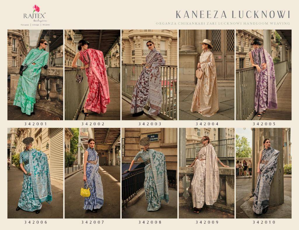 Kaneeza Lucknowi By Raj Tex 342001 To 342010 Series Indian Traditional Wear Collection Beautiful Stylish Fancy Colorful Party Wear & Occasional Wear Organza Sarees At Wholesale Price