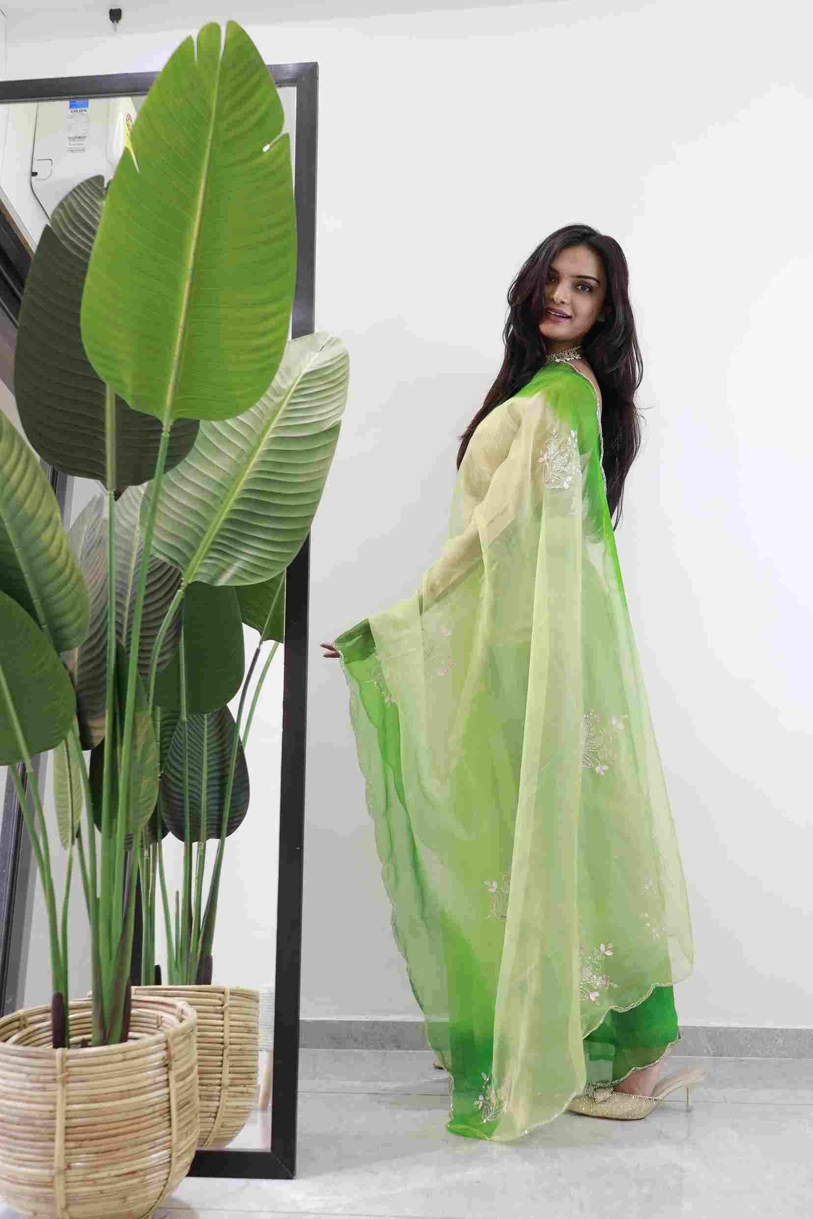 Praachi By Fashid Wholesale 01 To 04 Series Indian Traditional Wear Collection Beautiful Stylish Fancy Colorful Party Wear & Occasional Wear Pure Soft Oraganza Silk Sarees At Wholesale Price