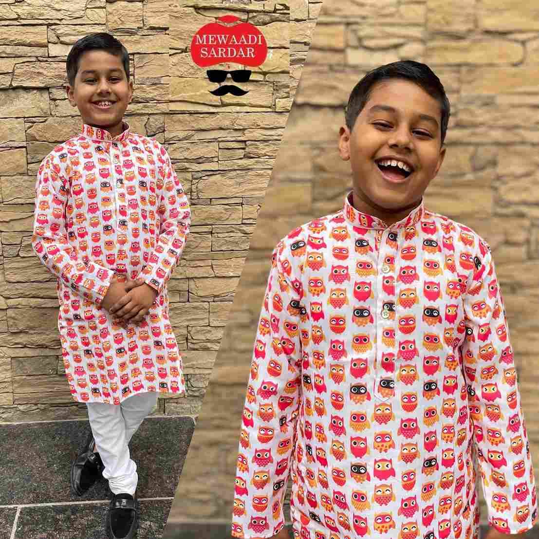 Little Masters By Mewaadi Sardar 01 To 04 Series Beautiful Colorful Stylish Fancy Casual Wear & Ethnic Wear & Ready To Wear Cotton Kurtas At Wholesale Price