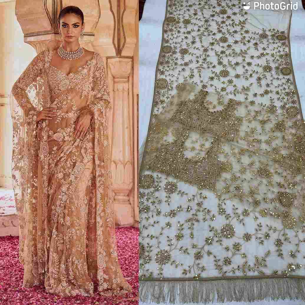 Hf-17 By Fashid Wholesale 01 To 06 Series Indian Traditional Wear Collection Beautiful Stylish Fancy Colorful Party Wear & Occasional Wear Heavy Mono Net Sarees At Wholesale Price