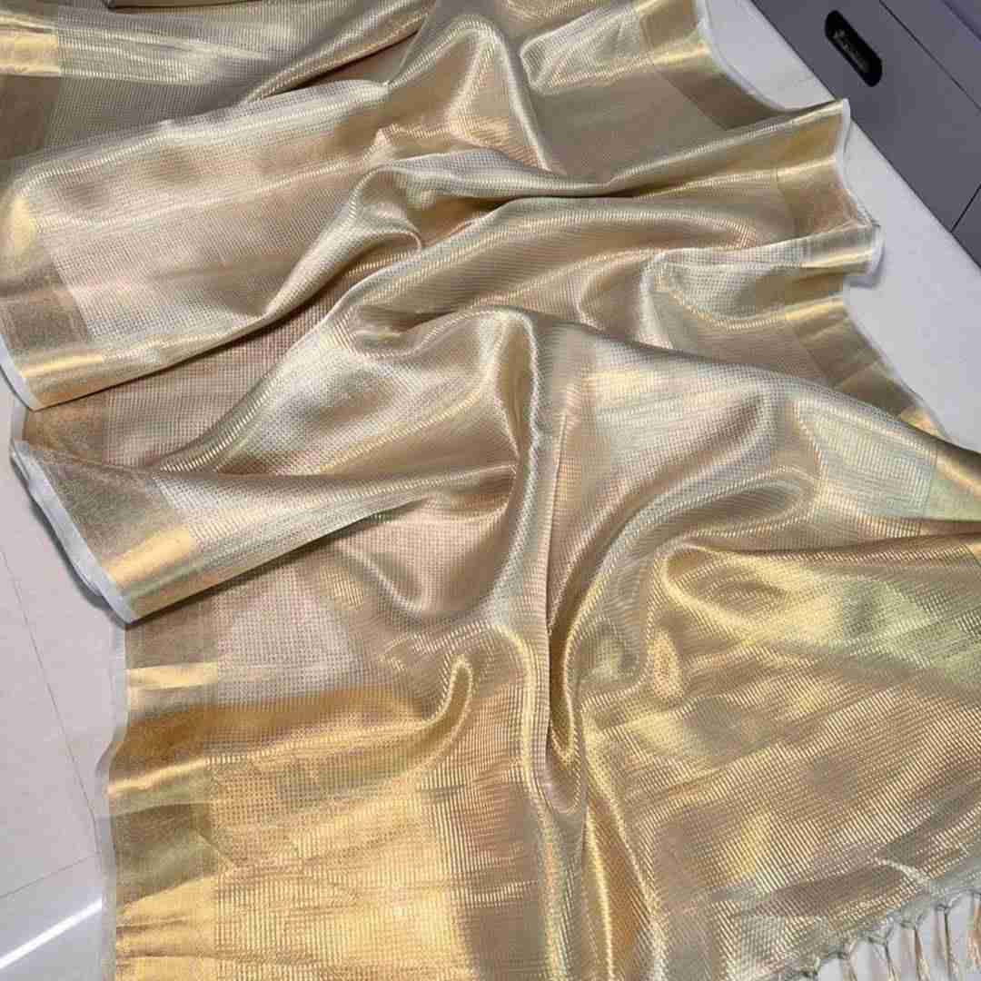 Sb-818 By Fashid Wholesale Indian Traditional Wear Collection Beautiful Stylish Fancy Colorful Party Wear & Occasional Wear Tissue Silk Sarees At Wholesale Price
