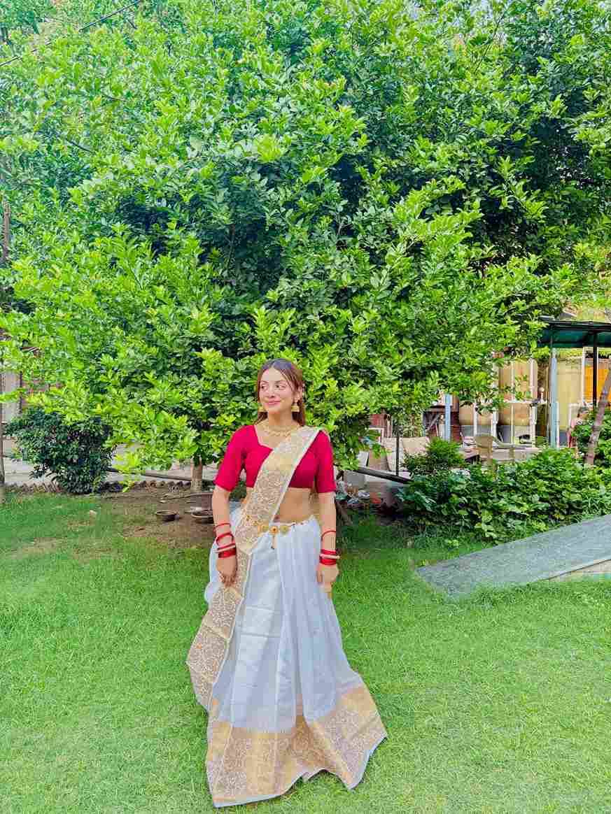 Vv-21 By Fashid Wholesale Indian Traditional Wear Collection Beautiful Stylish Fancy Colorful Party Wear & Occasional Wear Banarasi Cotton Silk Sarees At Wholesale Price