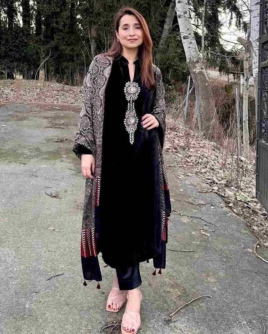 Le-2026 By Fashid Wholesale Beautiful Festive Suits Colorful Stylish Fancy Casual Wear & Ethnic Wear Velvet Dresses At Wholesale Price