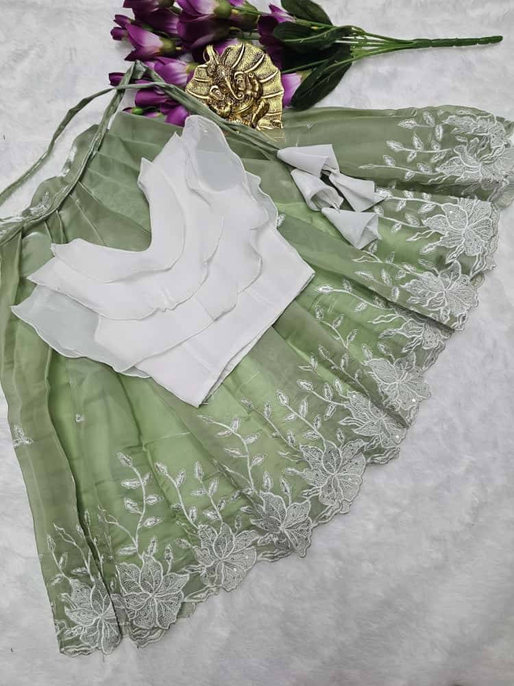 Pv-Kids Lehenga Vol-23 By Fashid Wholesale 01 To 02 Series Designer Beautiful Collection Occasional Wear & Party Wear Heavy Paithani Silk Lehenga At Wholesale Price