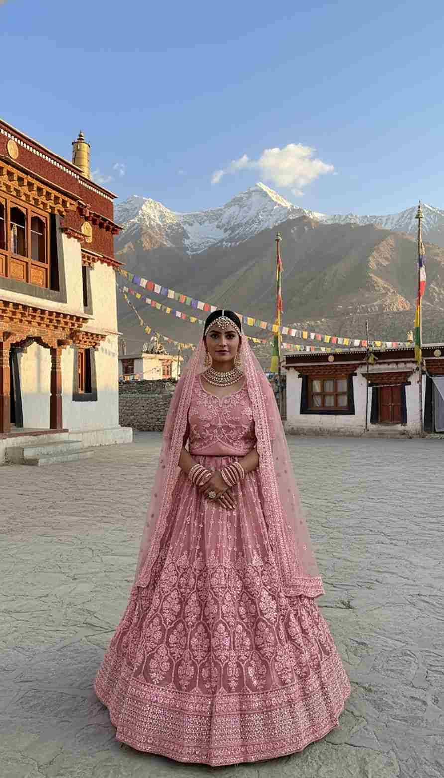 Sunshine By Senhora Dresses 7101 To 7102 Series Designer Beautiful Collection Occasional Wear & Party Wear Pure Net Lehengas At Wholesale Price