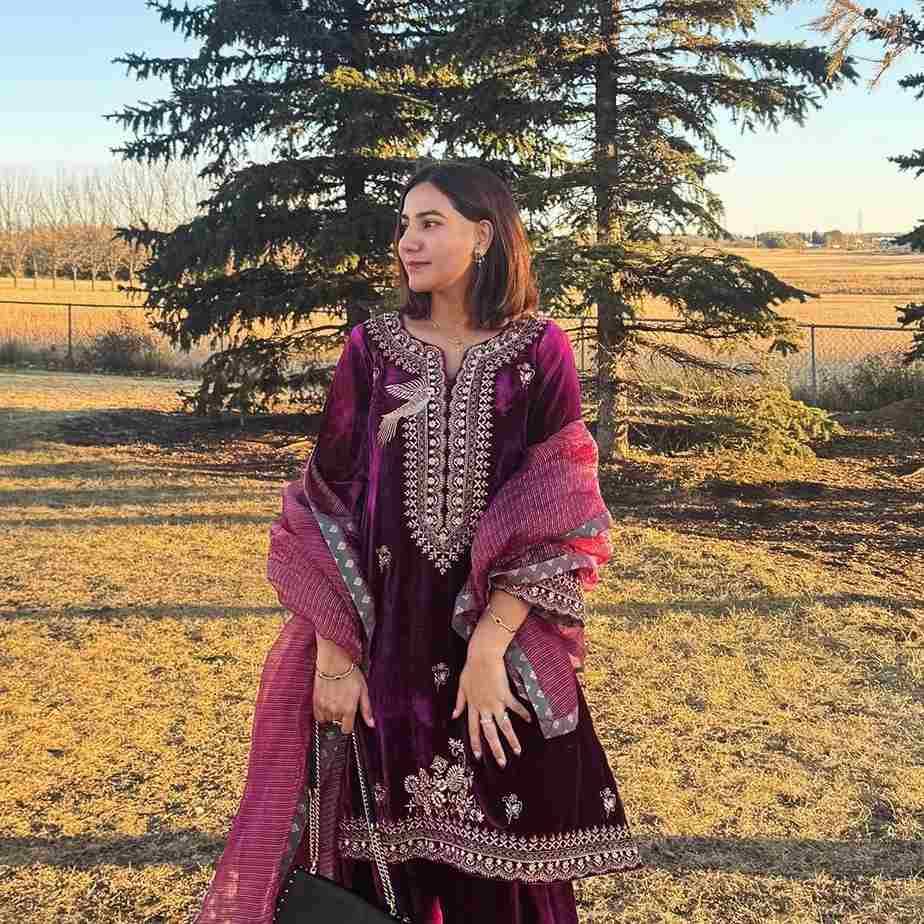 Be-421 By Fashid Wholesale Beautiful Suits Colorful Stylish Fancy Casual Wear & Ethnic Wear Velvet Dresses At Wholesale Price