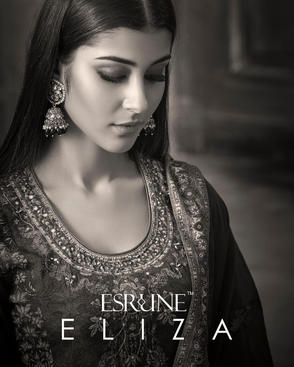 Eliza By Esrune 101 To 06 Series Designer Festive Collection Beautiful Stylish Colorful Fancy Party Wear & Occasional Wear Modal Silk Dresses At Wholesale Price1