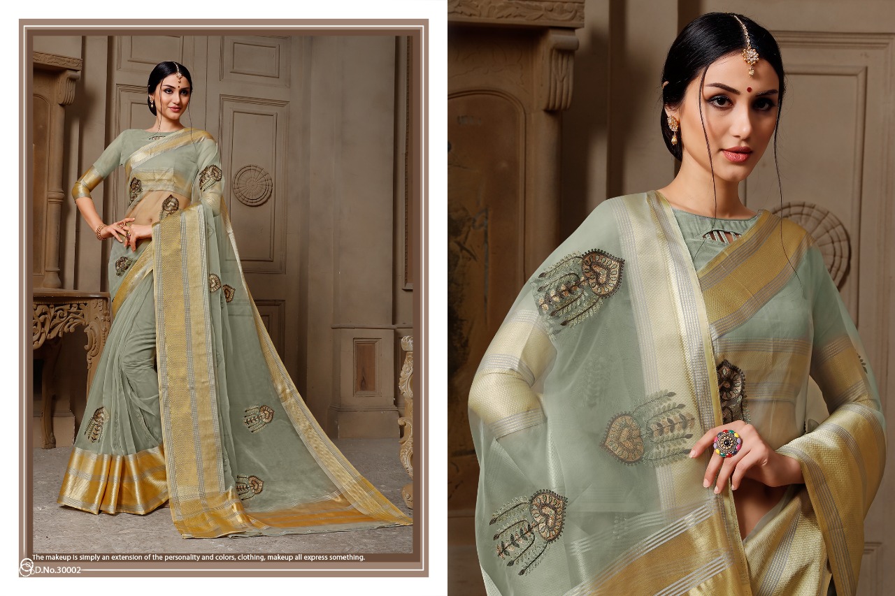 Stuti By Aanchal Sarees 30001 To 30010 Series Indian Traditional Wear Collection Beautiful Stylish Fancy Colorful Party Wear & Occasional Wear Organza Embroidered Sarees At Wholesale Price