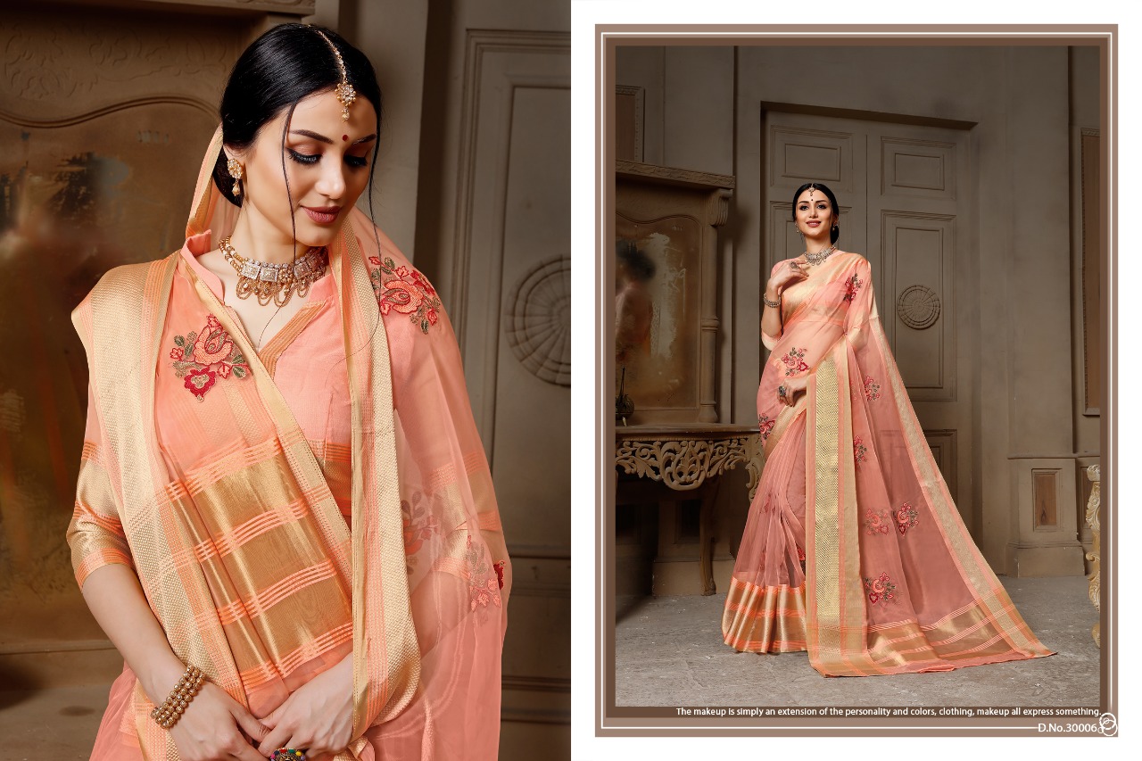 Stuti By Aanchal Sarees 30001 To 30010 Series Indian Traditional Wear Collection Beautiful Stylish Fancy Colorful Party Wear & Occasional Wear Organza Embroidered Sarees At Wholesale Price